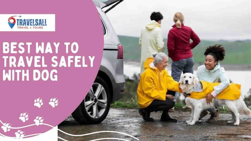 Best Way to Travel Safely With Dog