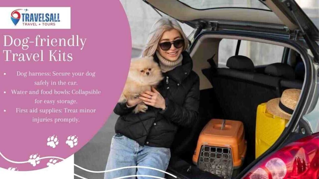 Safe Canine Traveling Essentials