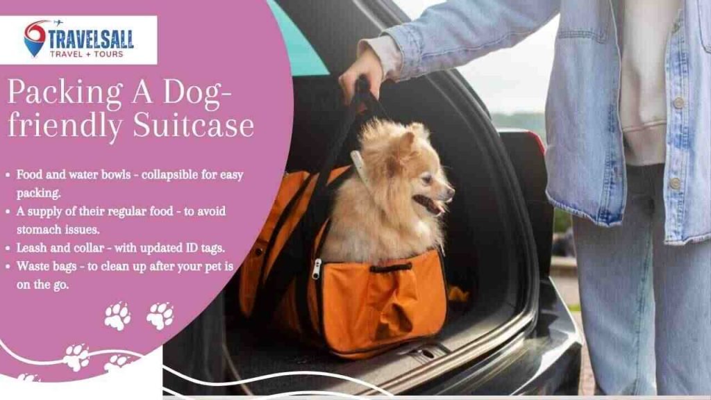 Packing A Dog-friendly Suitcase