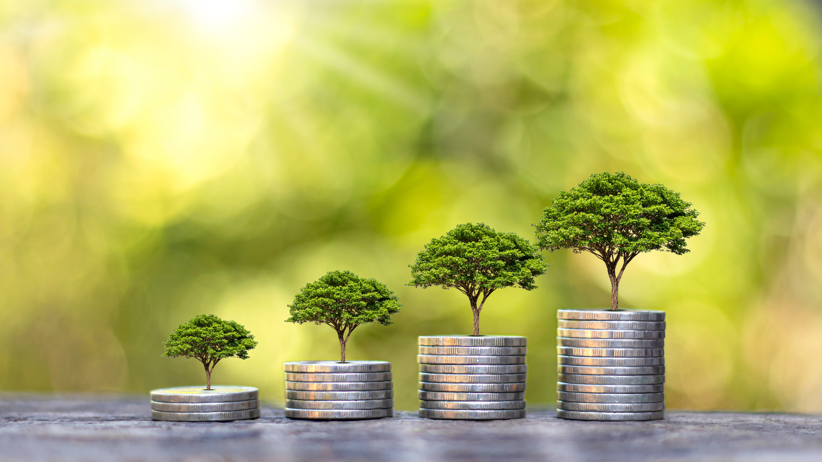 Financial Implications