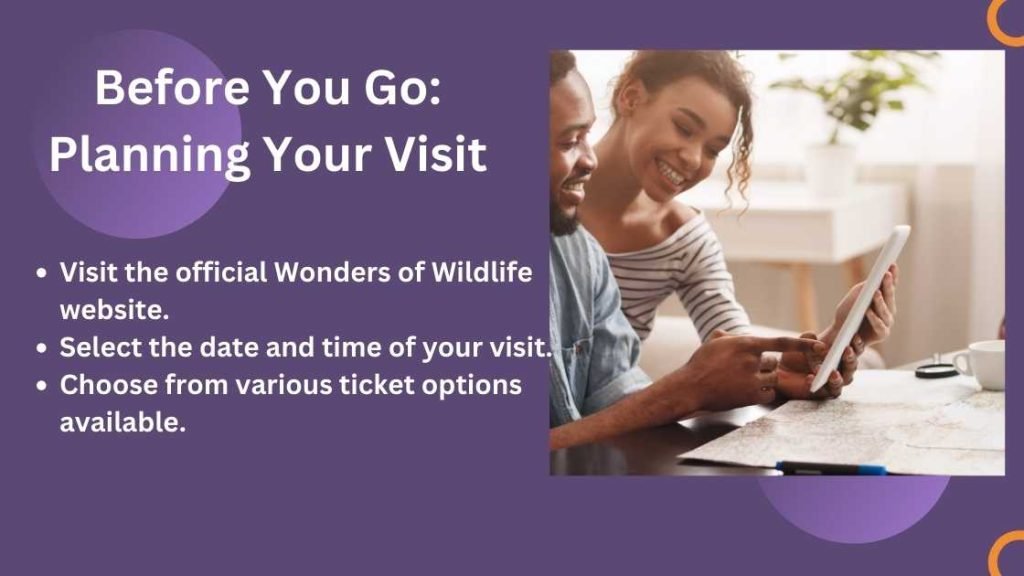 Before You Go: Planning Your Visit