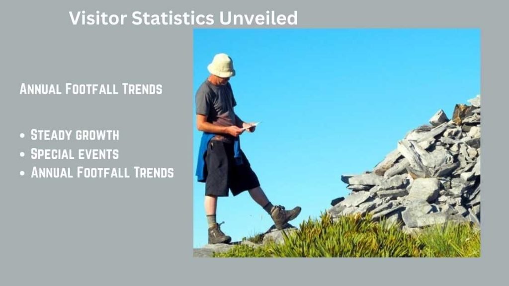 Annual Footfall Trends