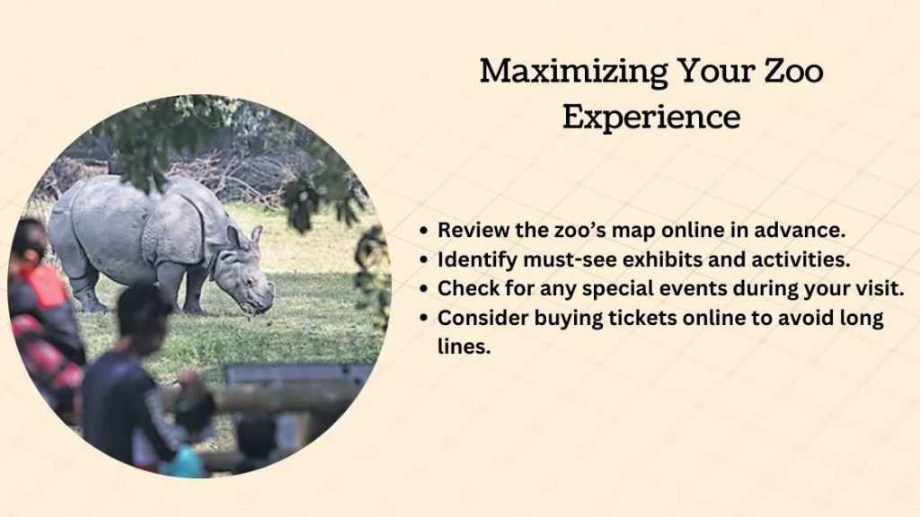 Maximizing Your Zoo Experience