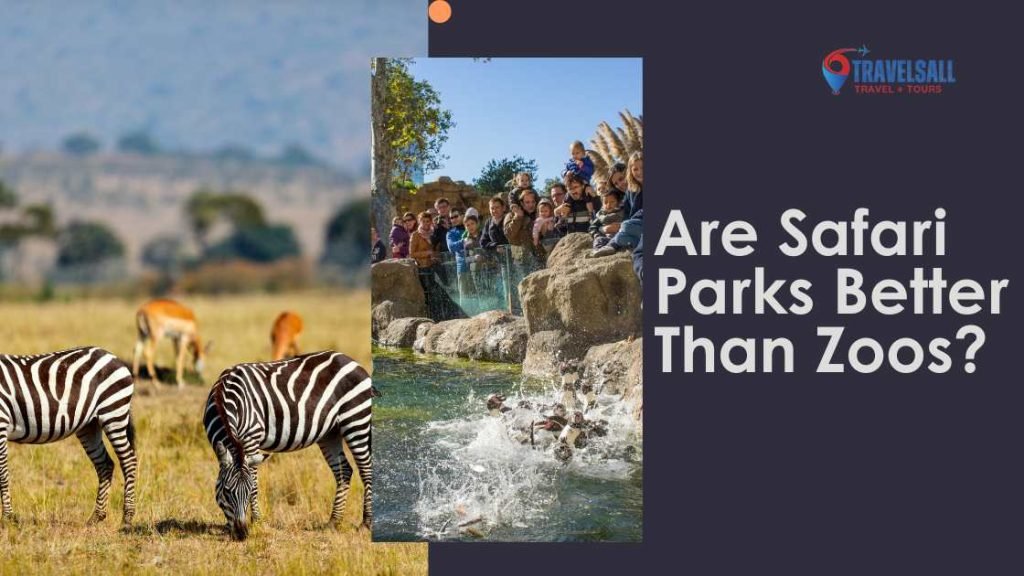 Are Safari Parks Better Than Zoos