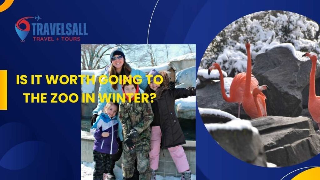 Is It Worth Going to the Zoo in Winter