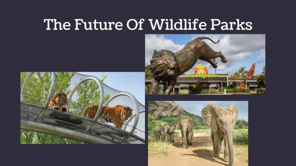 The Future Of Wildlife Parks