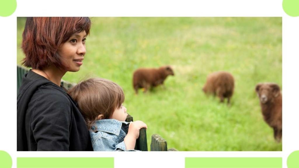 Eco-friendly Zoo Visits