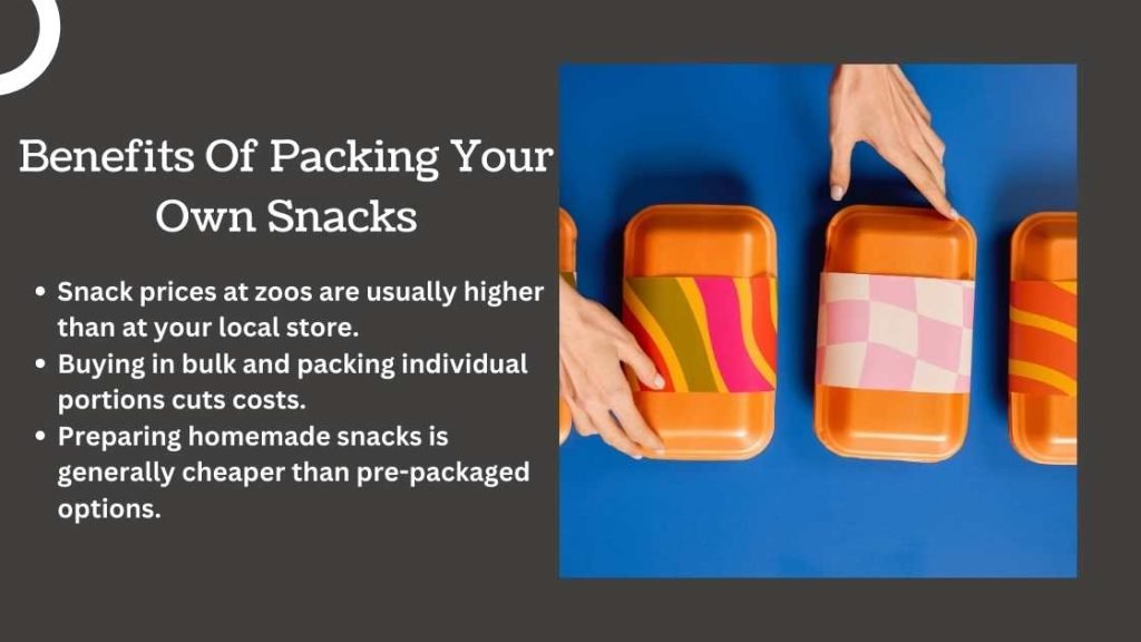 Benefits Of Packing Your Own Snacks