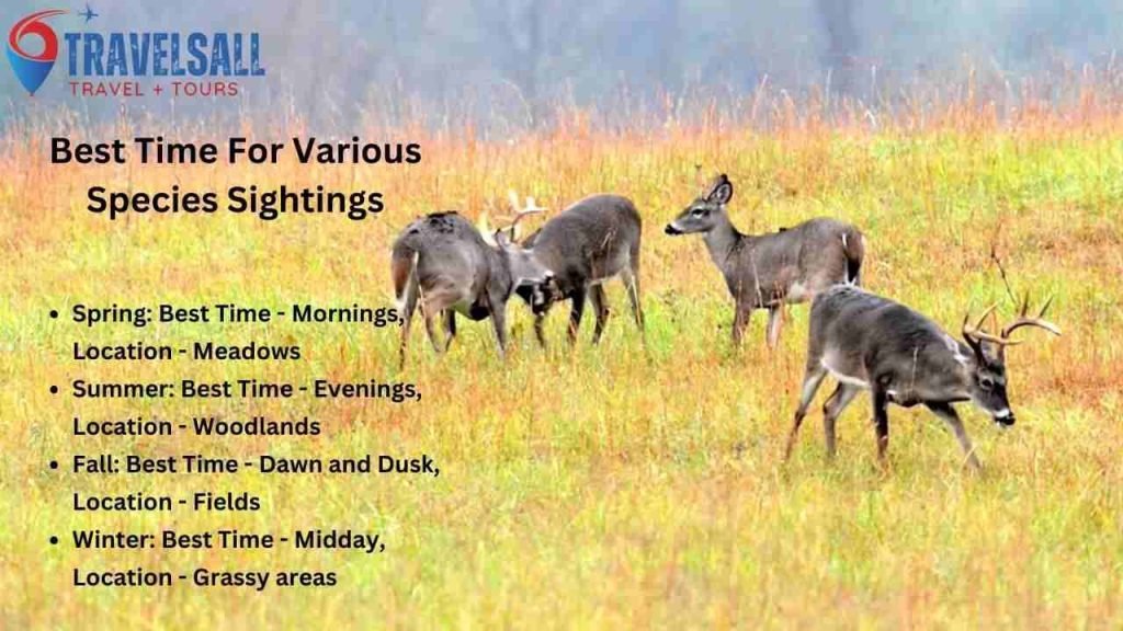 Best Time For Various Species Sightings