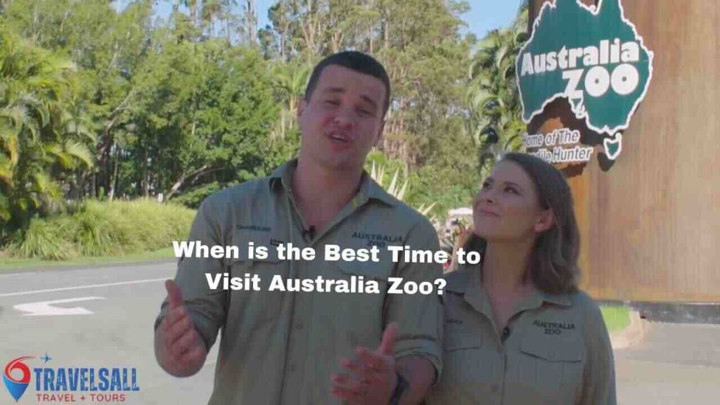 When is the Best Time to Visit Australia Zoo?