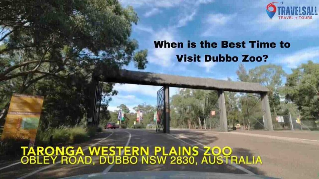 When is the Best Time to Visit Dubbo Zoo?