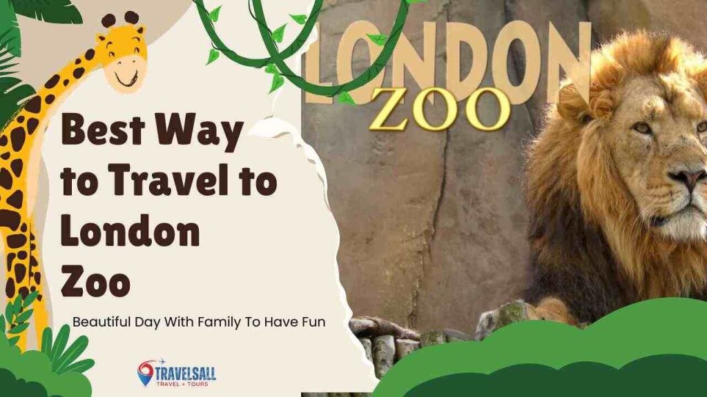 Best Way to Travel to London Zoo
