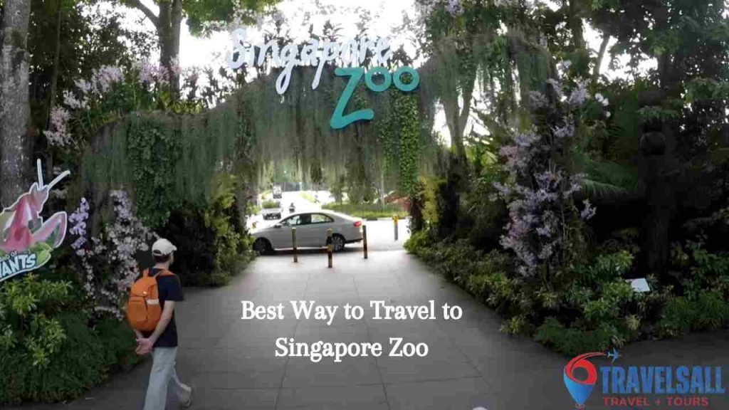 Best Way to Travel to Singapore Zoo
