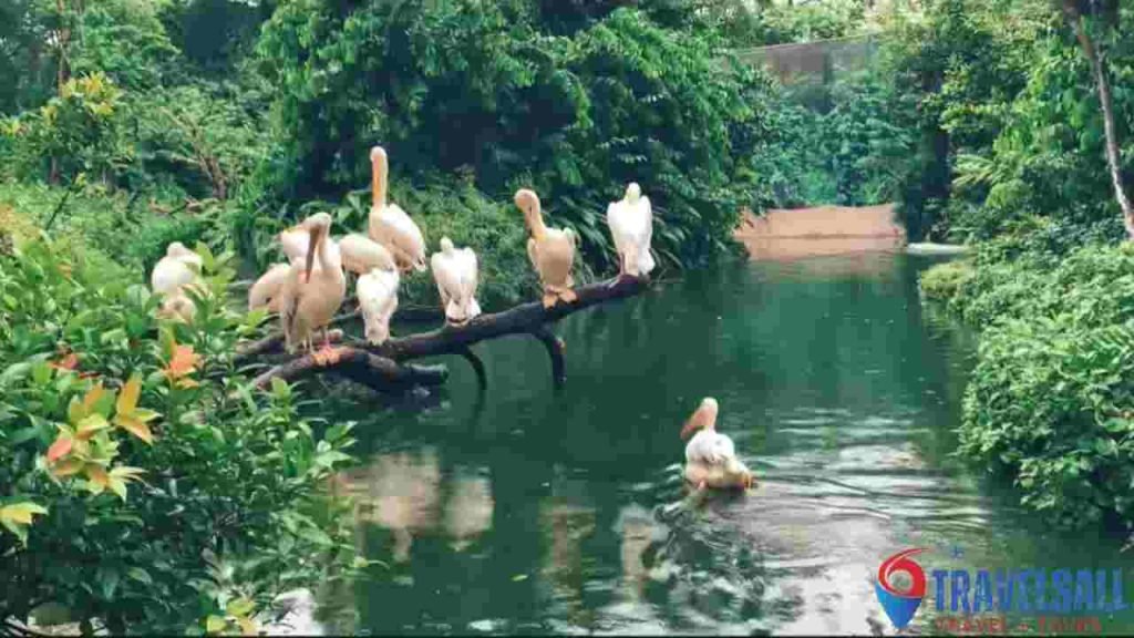 Gateway To Wildlife Wonders