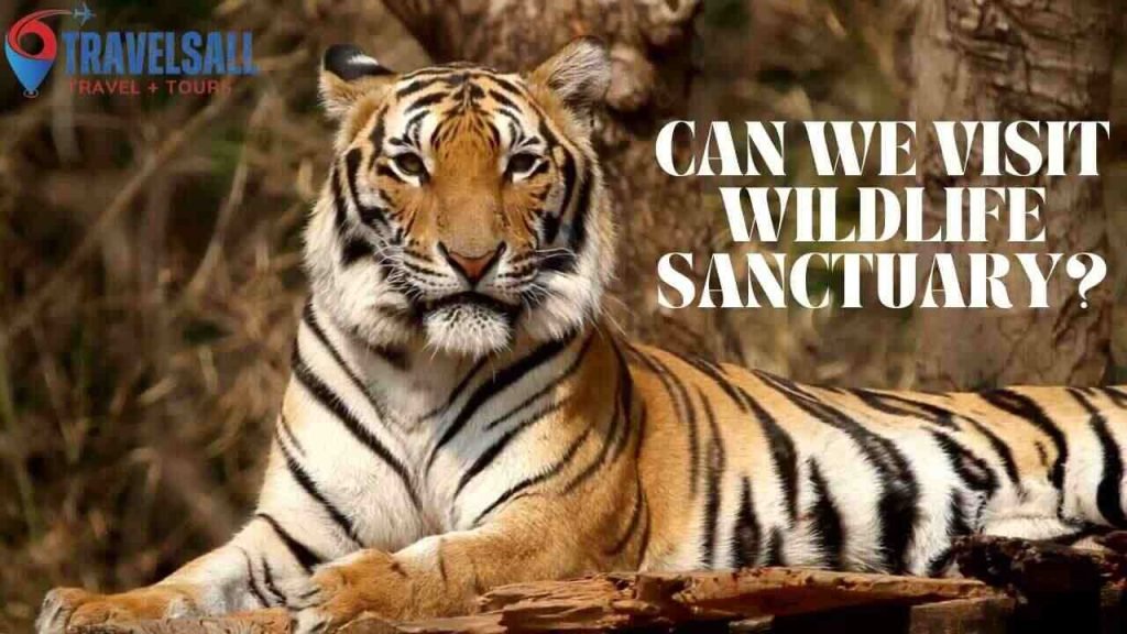 Can We Visit Wildlife Sanctuary?