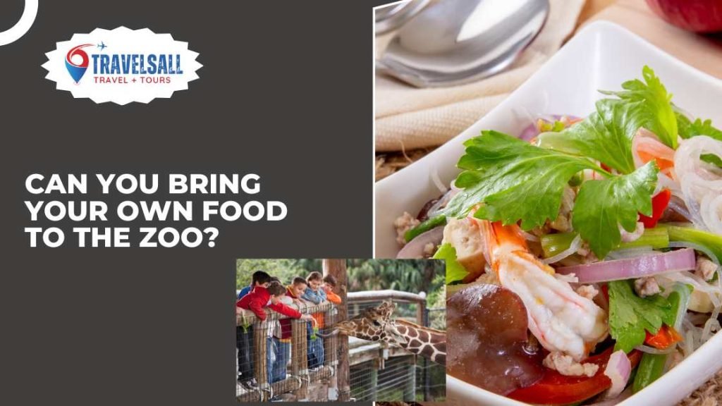 Can You Bring Your Own Food to the Zoo