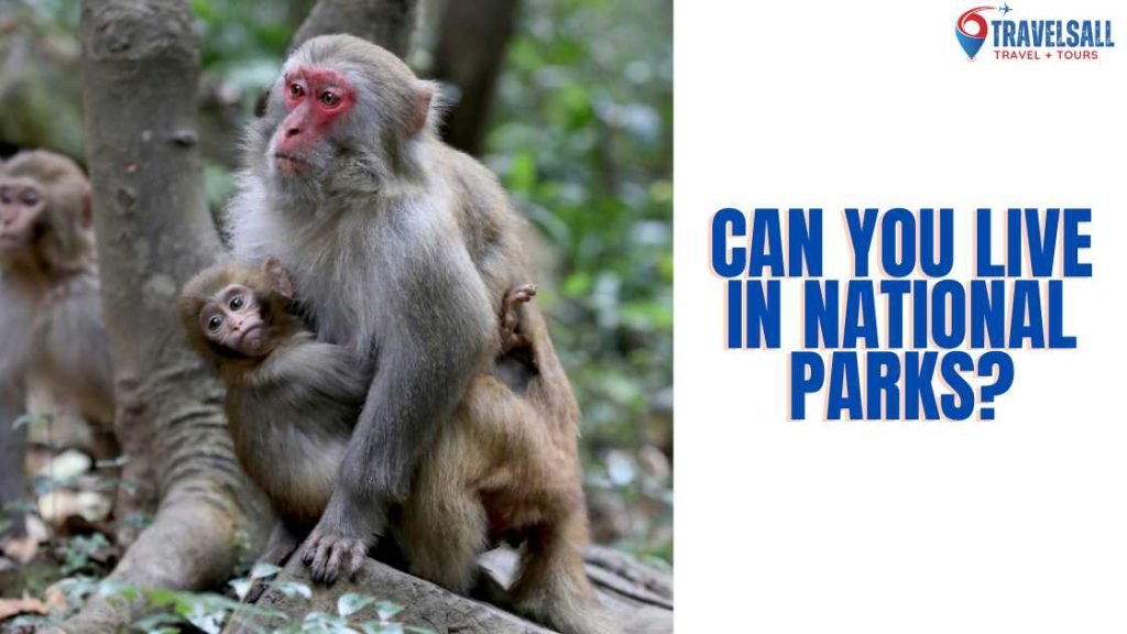 Can You Live in National Parks