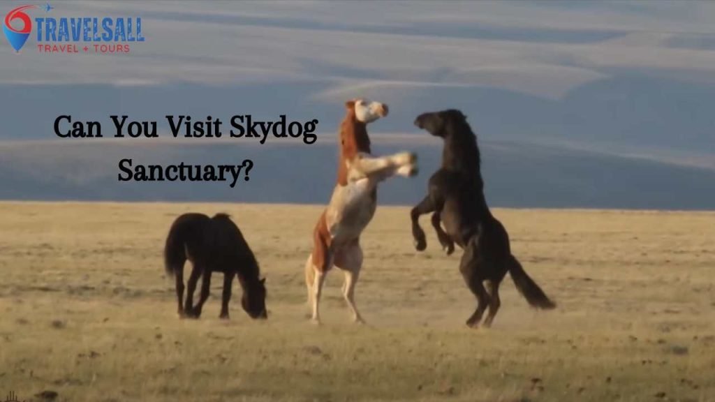 Can You Visit Skydog Sanctuary?