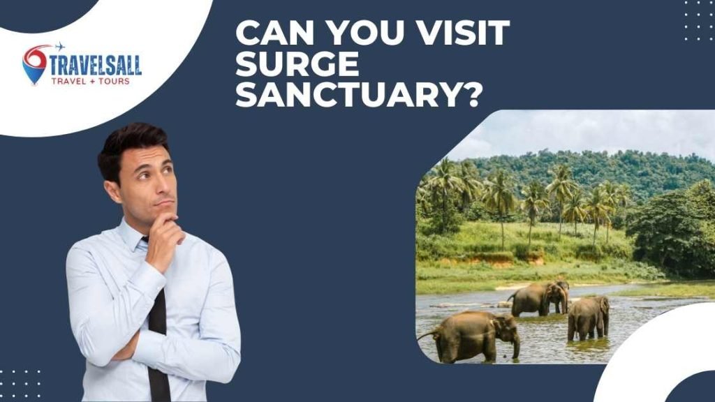 Can You Visit Surge Sanctuary
