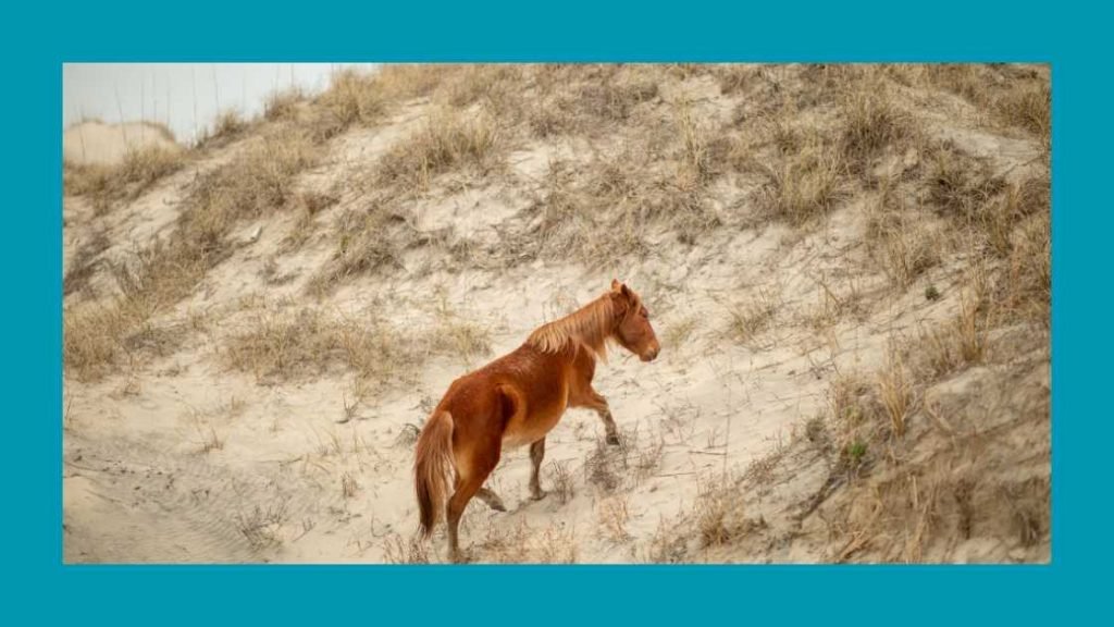 Capturing The Perfect Moment: Photography Tips