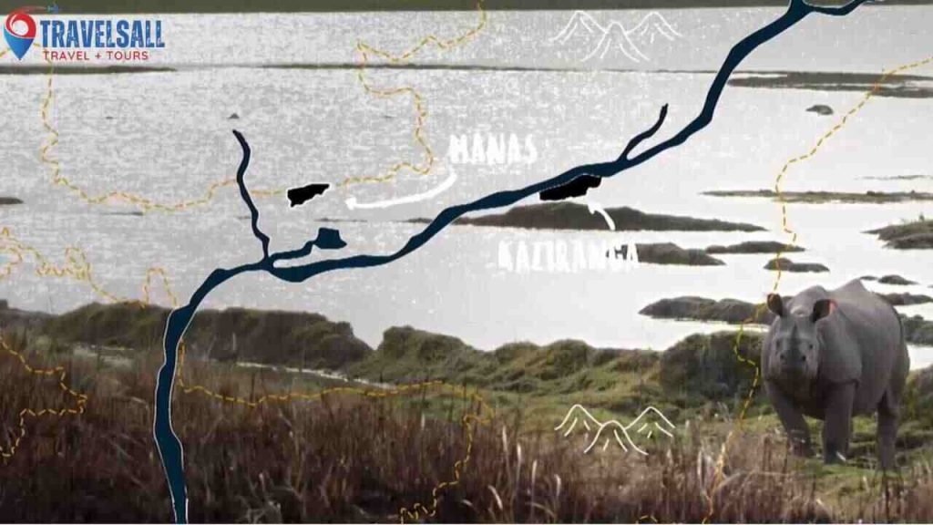 Conservation Success Stories
