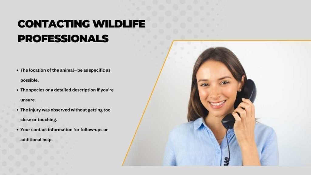 Contacting Wildlife Professionals