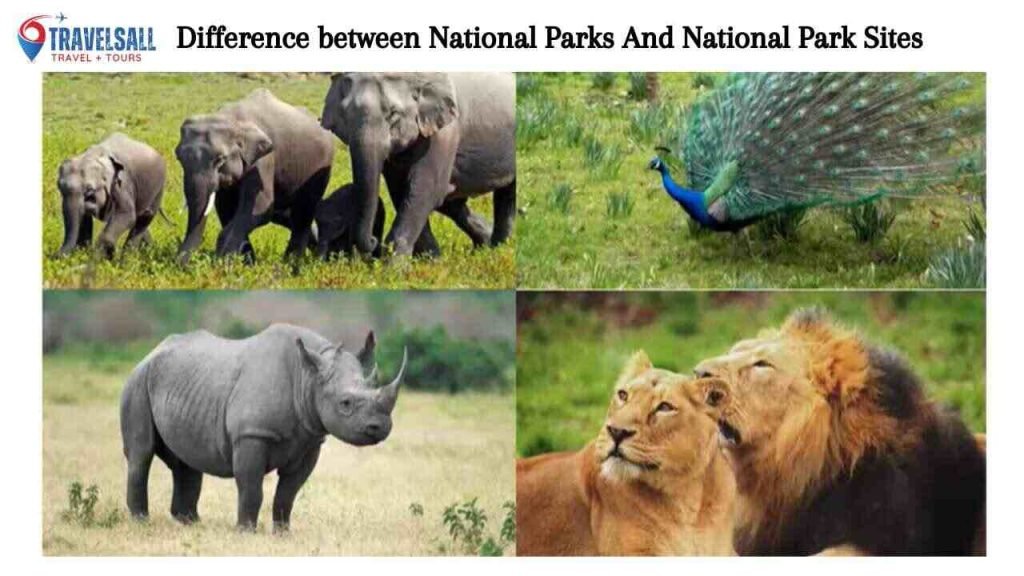 Difference between National Parks And National Park Sites