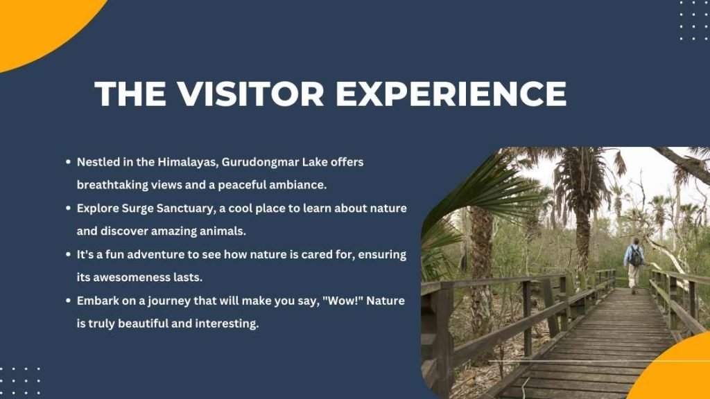 The Visitor Experience