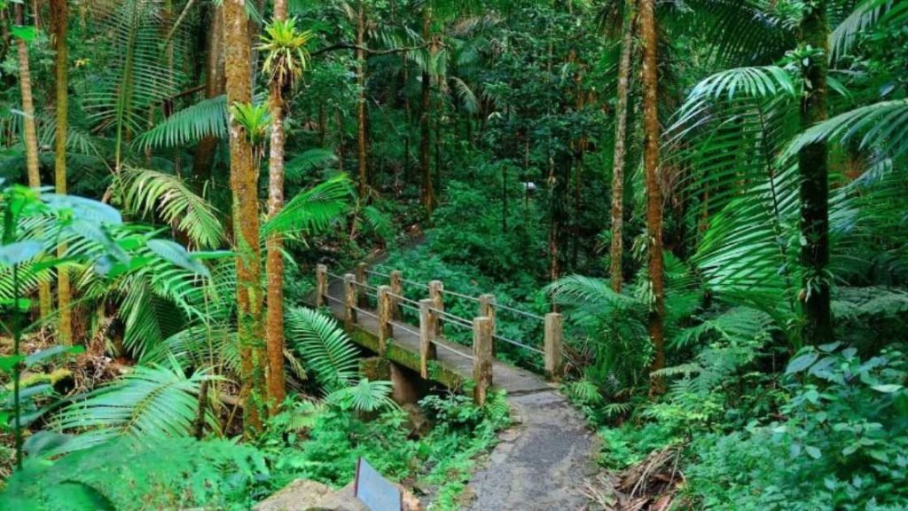 Exploring Hawaii's National Park