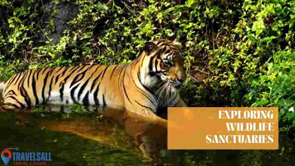 Exploring Wildlife Sanctuaries