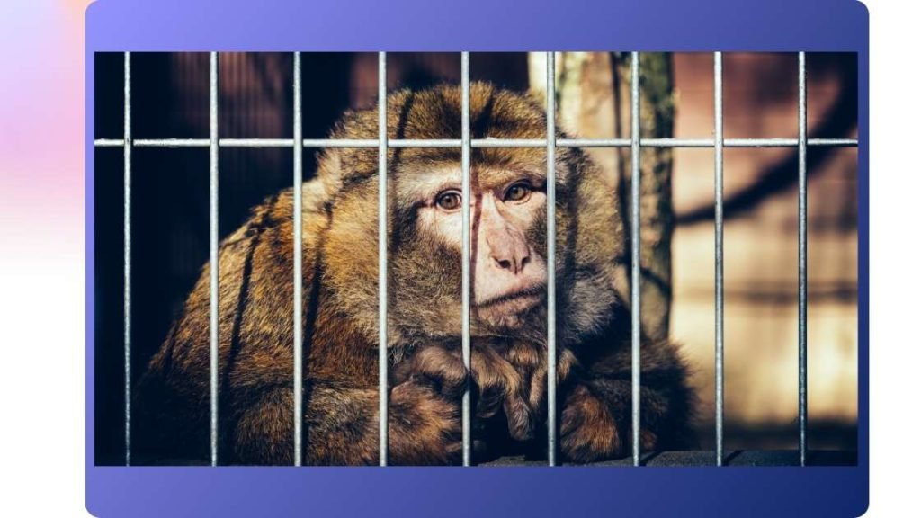 Life Behind Bars