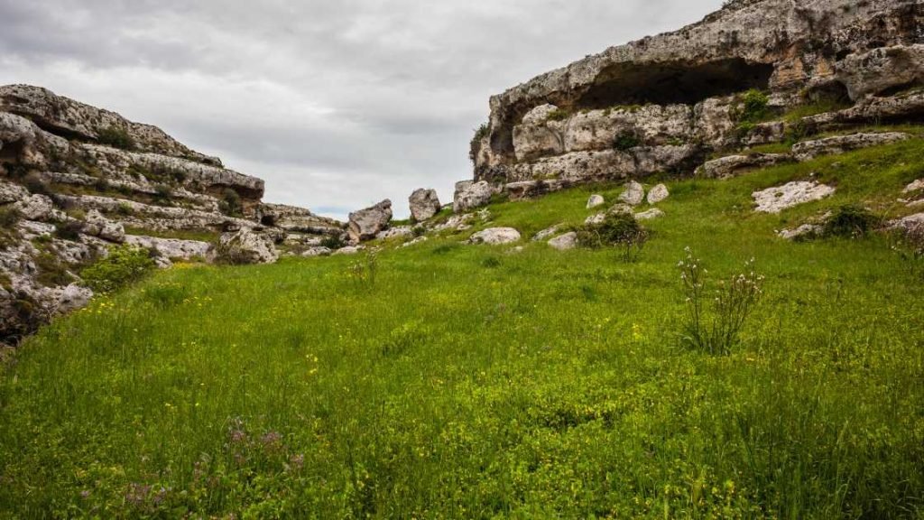 Historical Land Claims And Grandfathered Properties