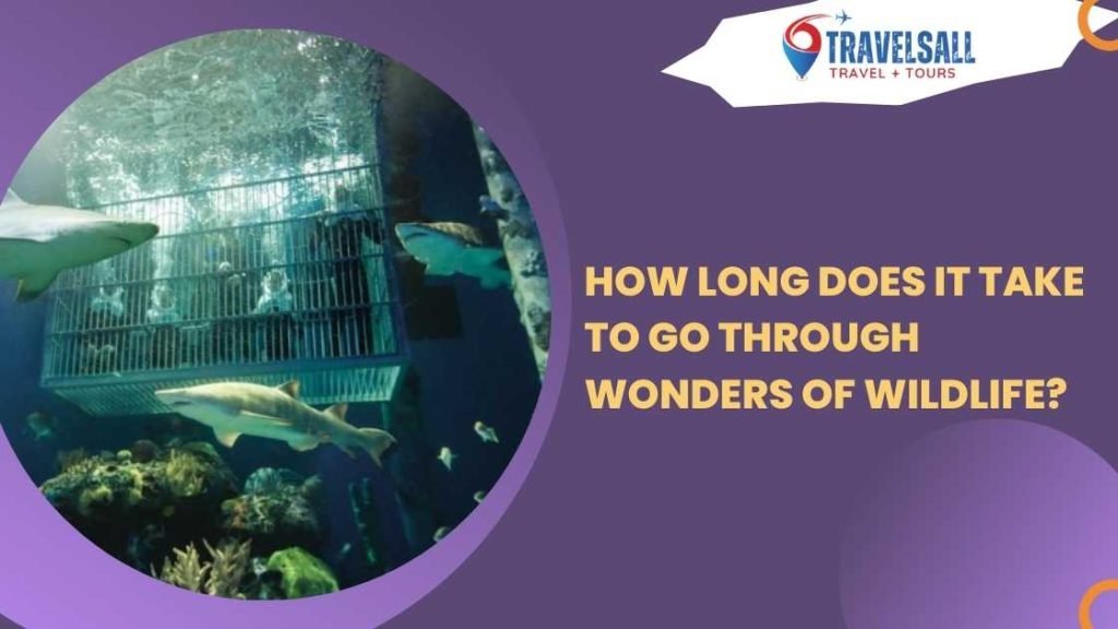 How Long Does It Take to Go Through Wonders of Wildlife