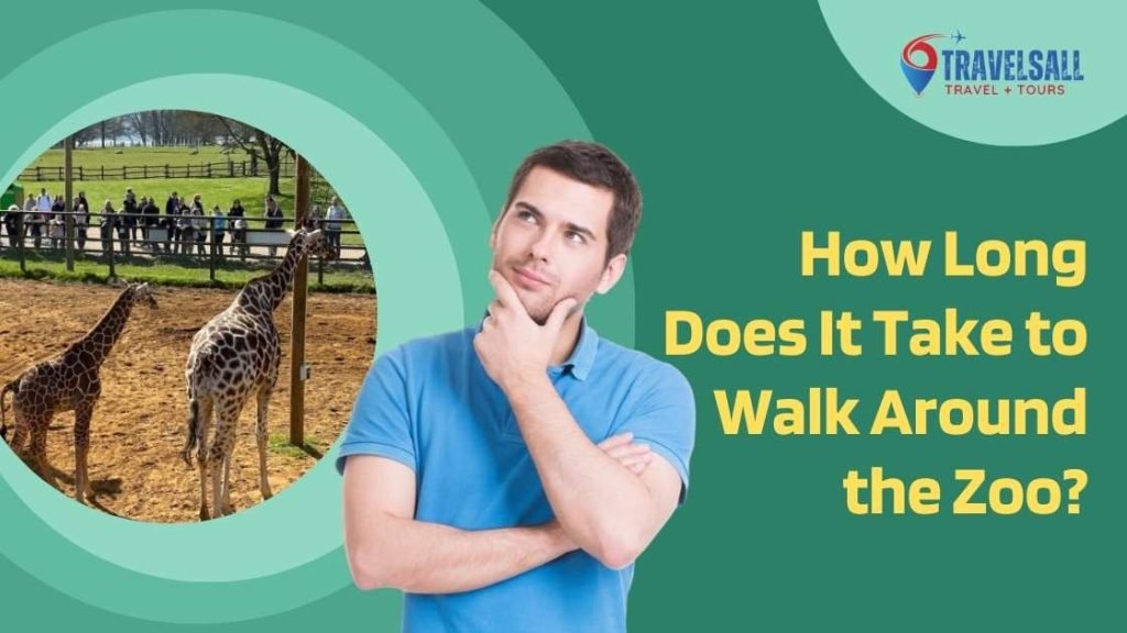 How Long Does It Take to Walk Around the Zoo?