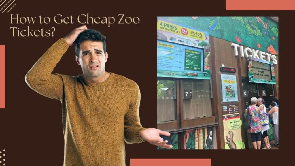 How to Get Cheap Zoo Tickets