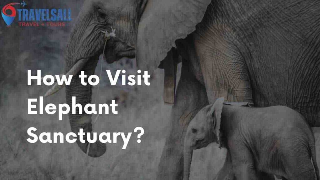 How to Visit Elephant Sanctuary?