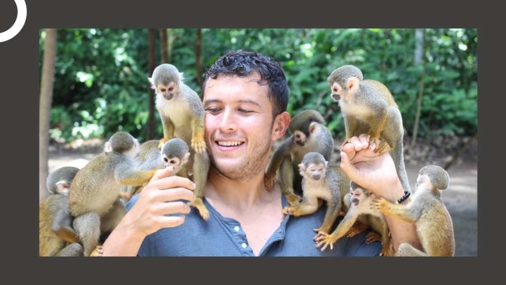 Interacting With Zoo Animals