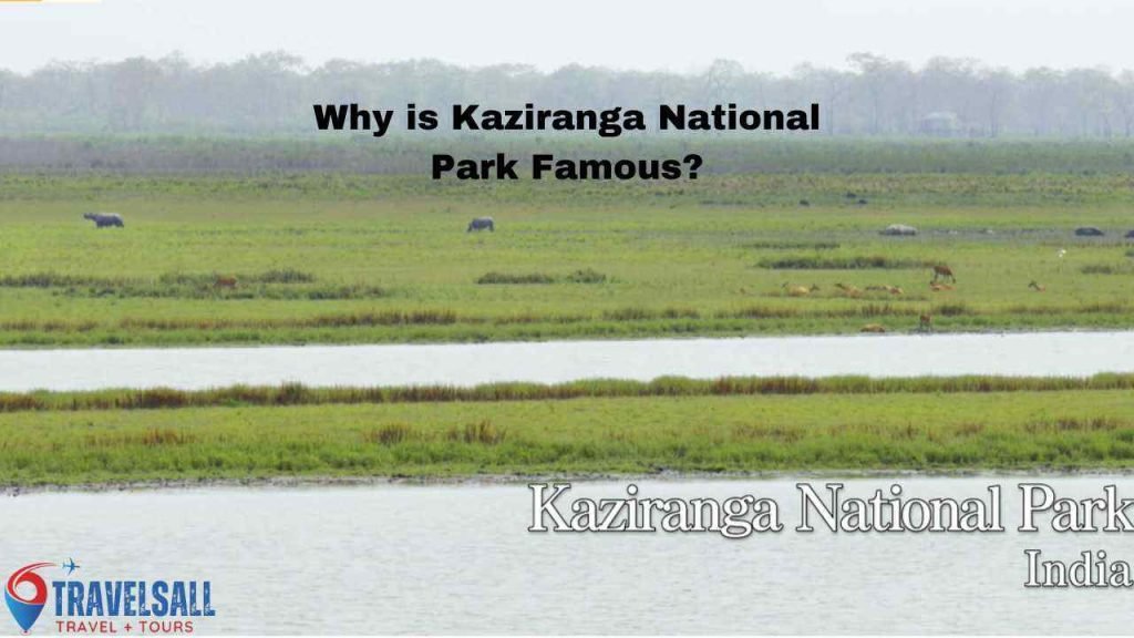 Why is Kaziranga National Park Famous?