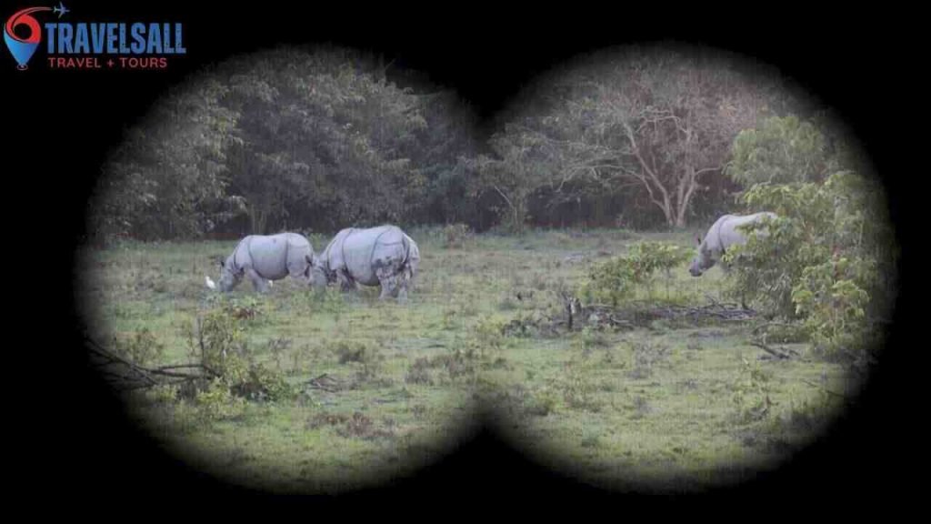 Kaziranga's Unique Biodiversity