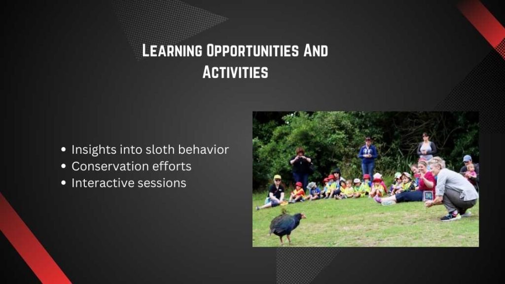 Learning Opportunities And Activities