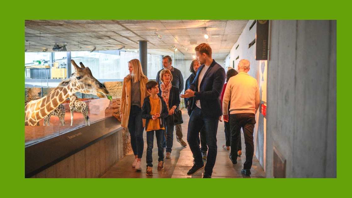 Learning Opportunities For Visitors