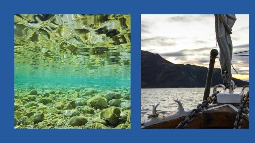 Marine Expeditions