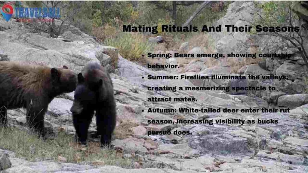 Mating Rituals And Their Seasons