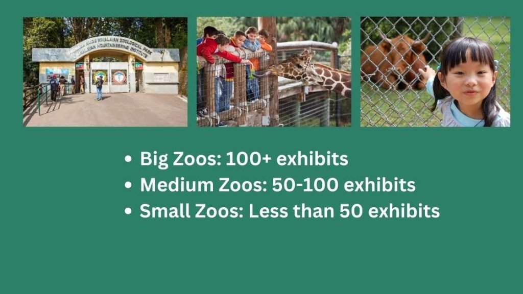 Medium Zoos
