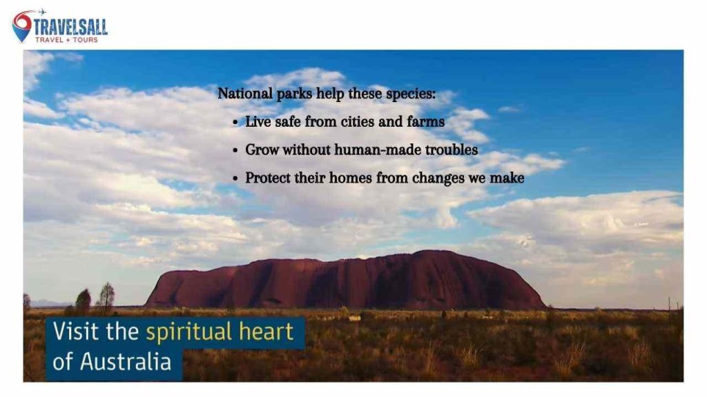 Australian National Parks: Custodians Of Natural Heritage
