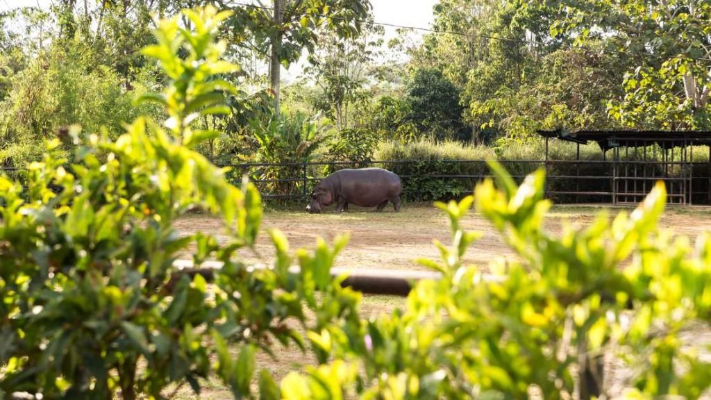 Natural Wonders And Wildlife