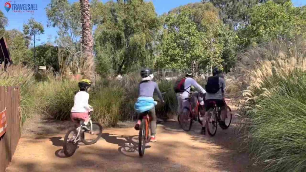 Crowd Considerations