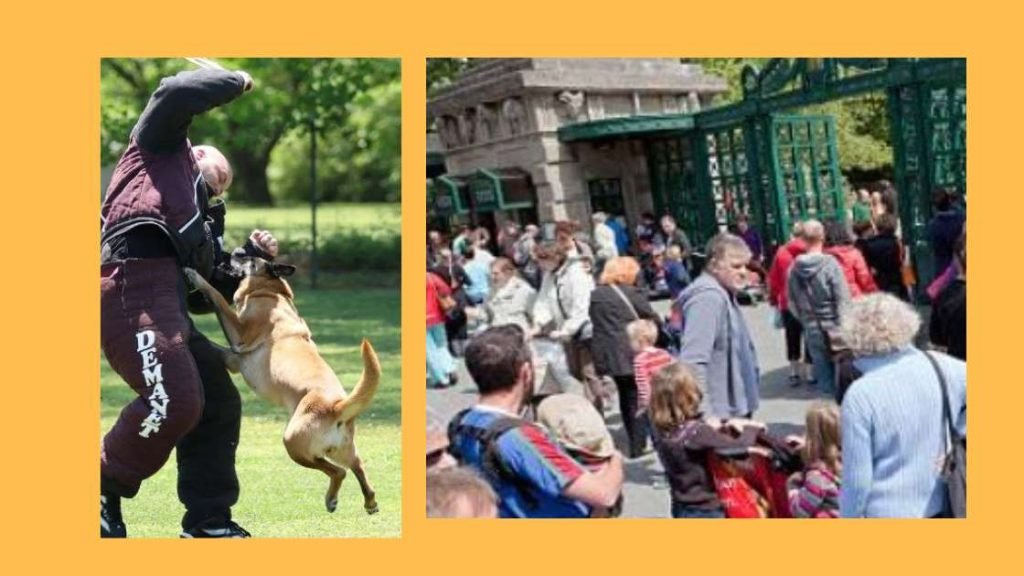 Protecting Canine Visitors