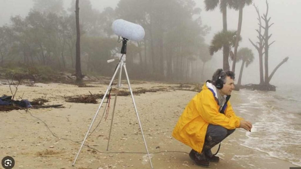 Recording And Archiving Natural Sounds