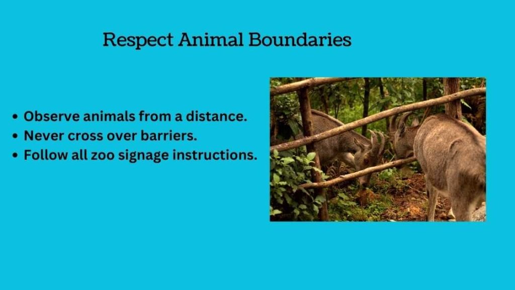Respect Animal Boundaries